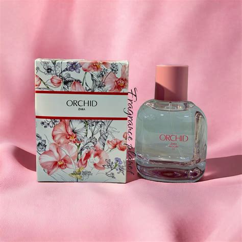 orchid zara bloom 01 perfume dupe|zara orchid perfume.